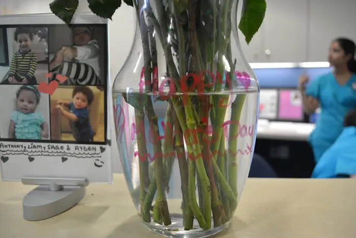Close-up of Mother's Day roses displayed at Alexandria Children's Dentistry